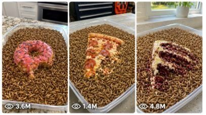 Seedance 2.0 Mealworms vs Food