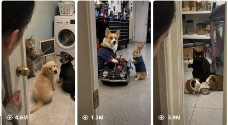 Raw Secret Pet Roleplay Viral Video