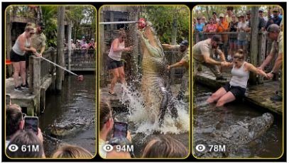 AMERICAN GIANT CROCODILE ZOO FEEDING
