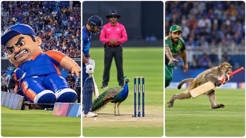 HYPER-REAL SURREAL CRICKET BROADCAST INTERRUPTION ENGINE